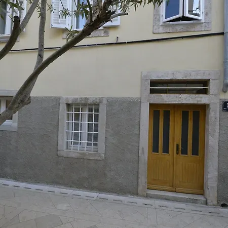 Oliva Cres